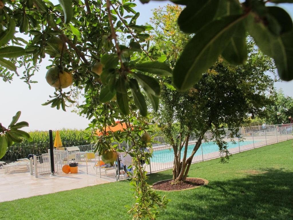 Agriturismo Bortolino Volta Mantovana Luaran gambar